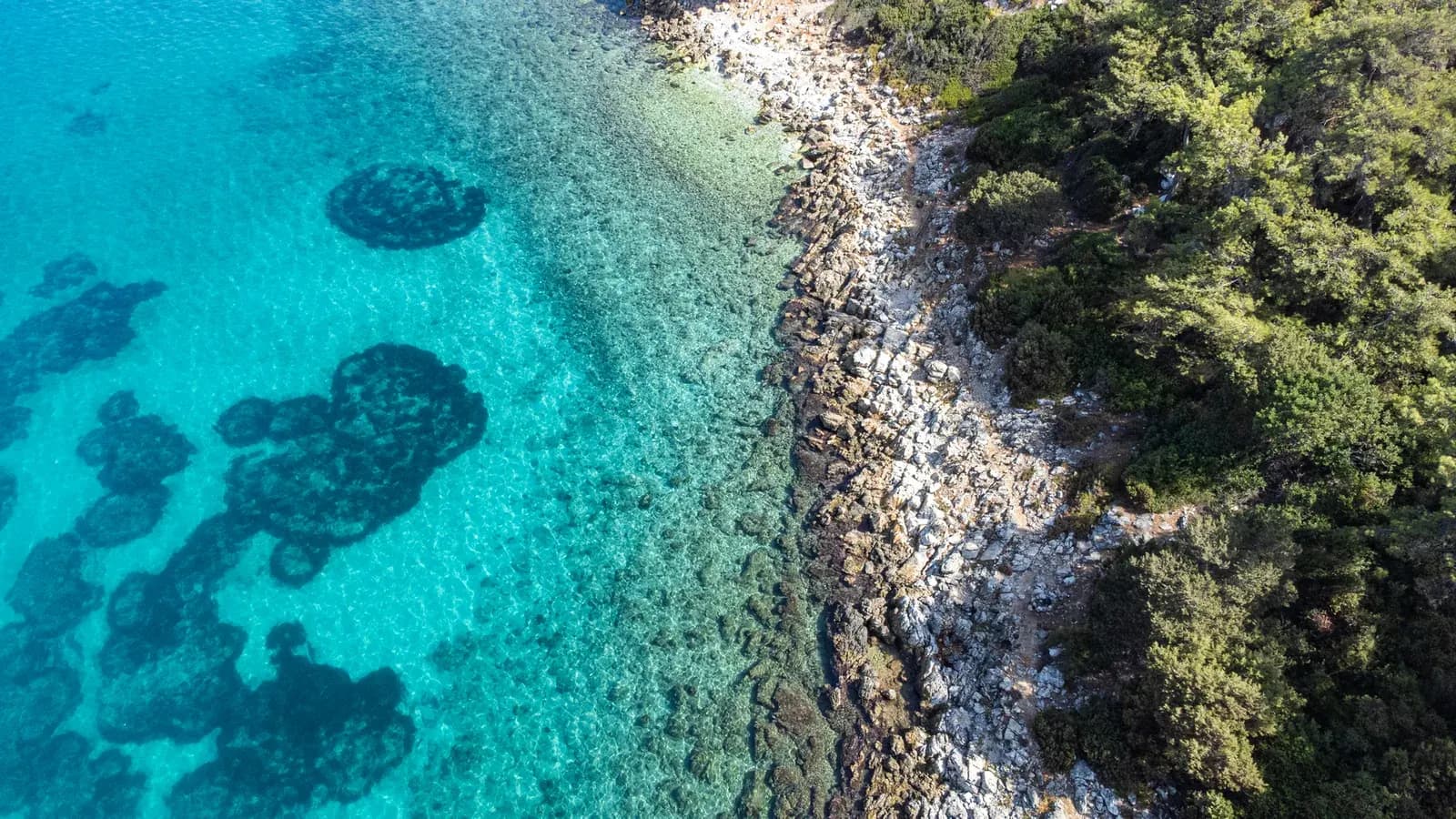 Eaux turquoise et côte de pins de Konnos Bay, Cap Greco à Chypre